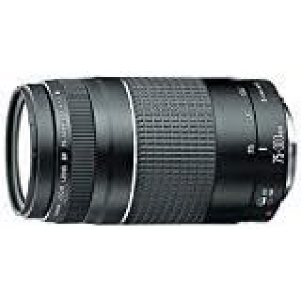 Canon EF 75-300mm f/4-5.6 III Telephoto Zoom Lens for Canon SLR Cameras - Image 2