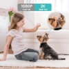 Indoor Camera, litokam Cameras for Home Security with Night Vision, Pet Camera - Image 2