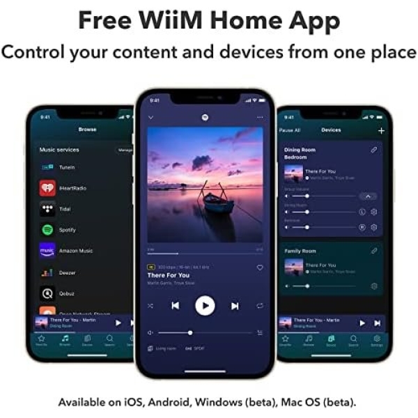 WiiM Mini AirPlay2 Wireless Audio Streamer, Multiroom Stereo, Preamplifier - Image 7