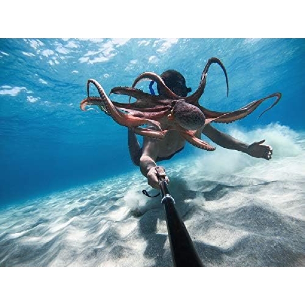 GoPro HERO9 Black - Waterproof Action Camera with Front LCD and Touch Rear - Image 9