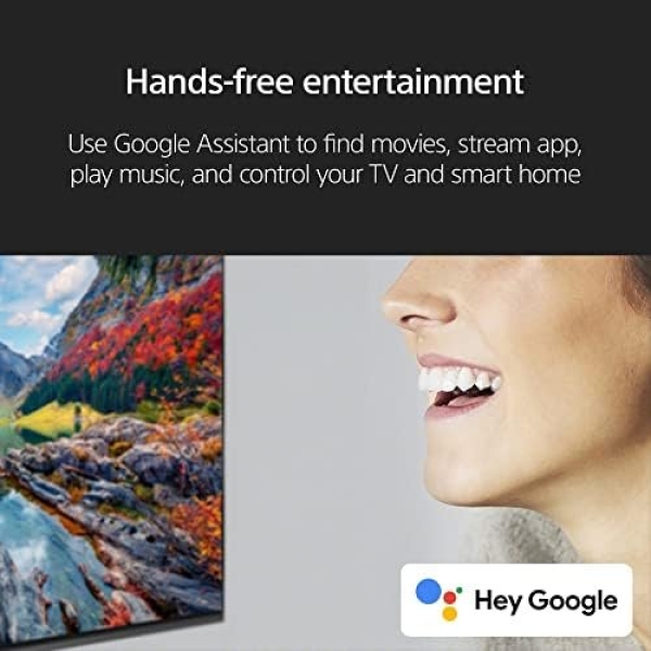 Sony 65 inch A80L BRAVIA XR OLED 4K Ultra HD HDR Smart Google TV - Image 11